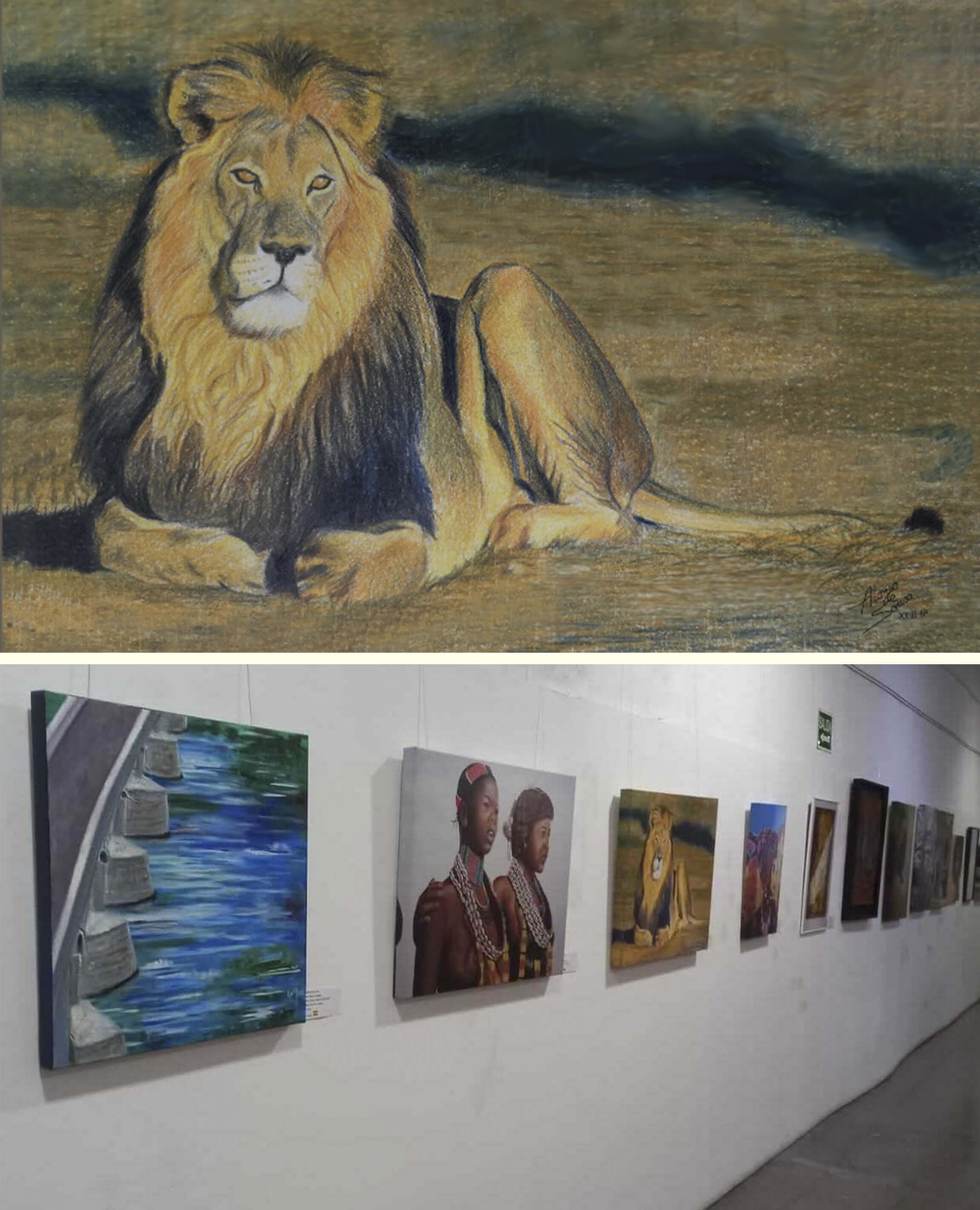 Vista de la sala de exposiciones