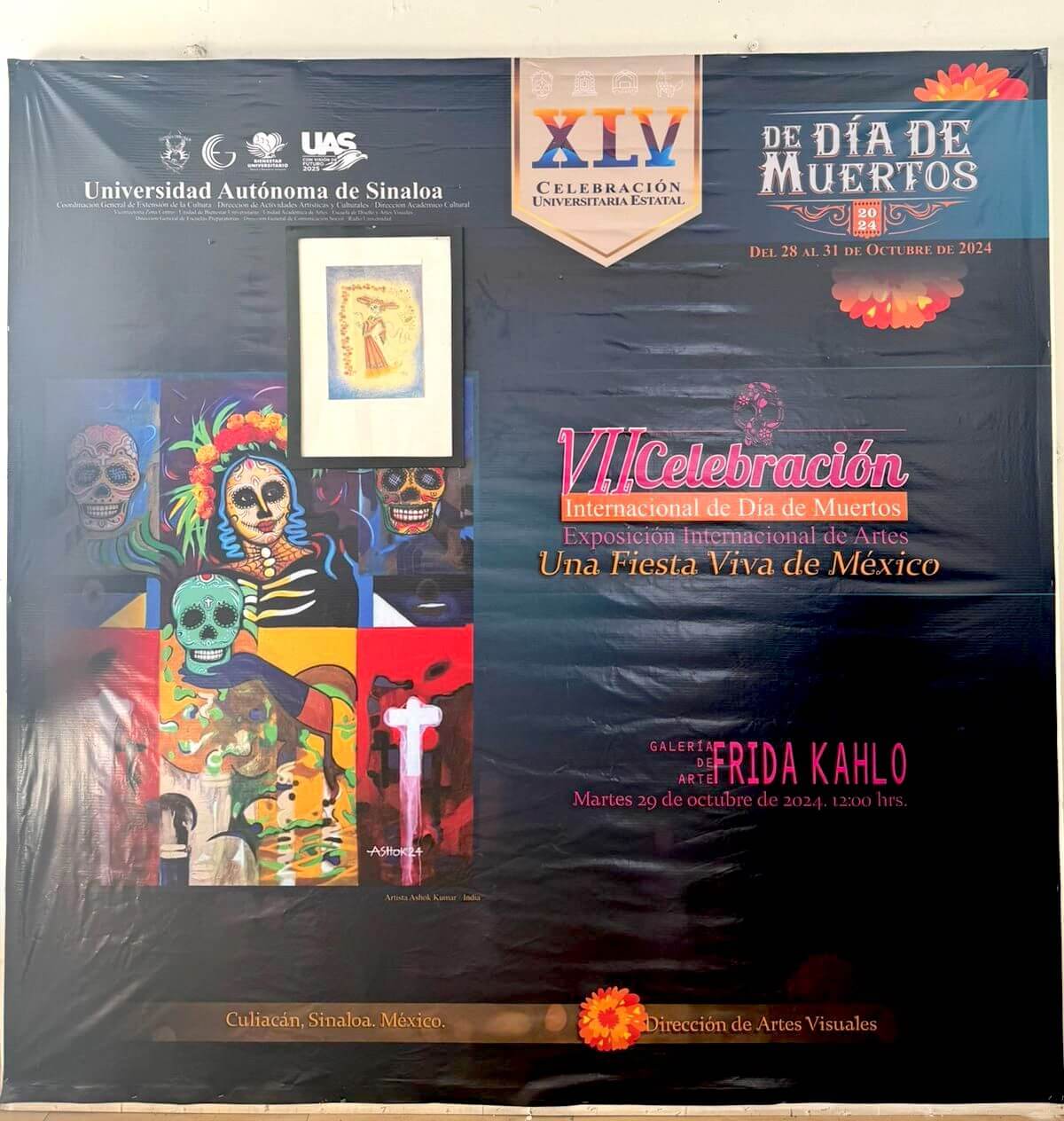 Vista del diploma
