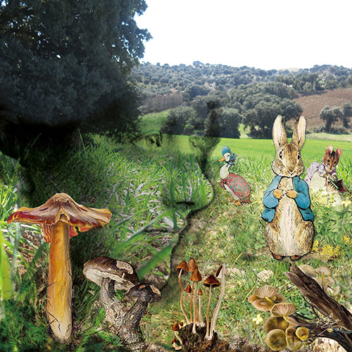 Obra de Alonso de Sousa