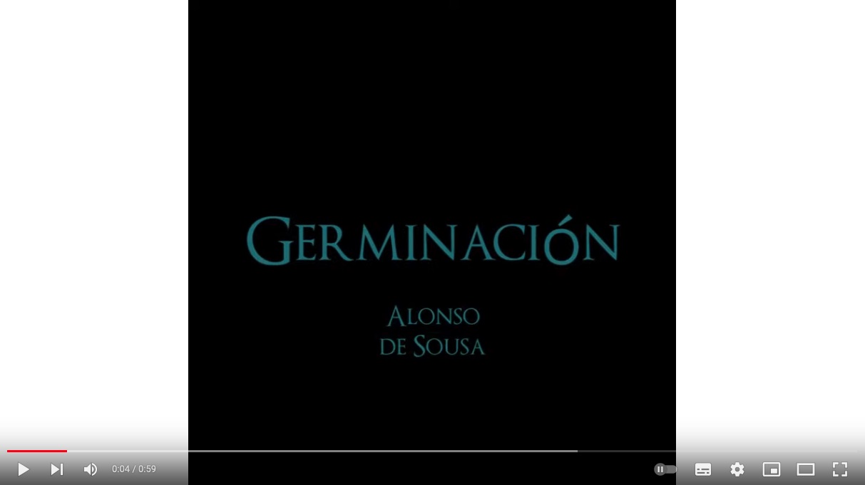 Vídeo